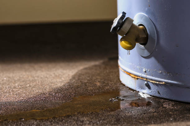 Best Basement water damage restoration  in Kingsport, TN