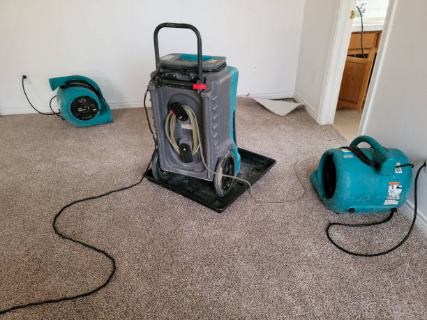 Best Water damage restoration near me  in Kingsport, TN