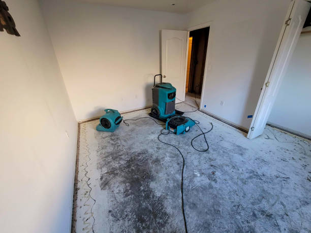 Best Professional water damage repair  in Kingsport, TN