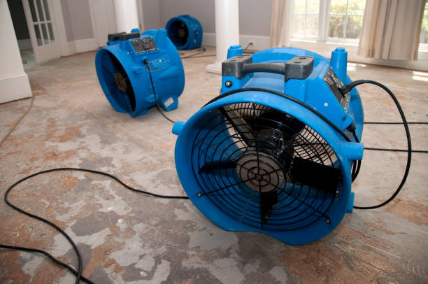 Best Water damage contractors near me  in Kingsport, TN