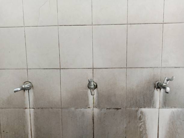 Best Water damage restoration experts  in Kingsport, TN
